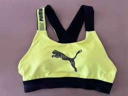 Sport-BH Puma