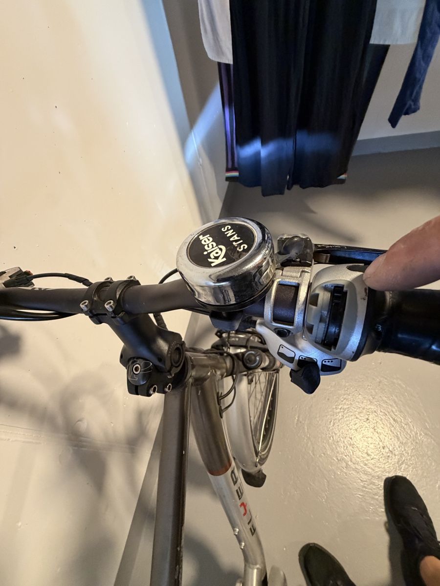 Flyer Biciclette: Elektrovelo Flyer – Usato da Kägiswil venduto da rezha 6