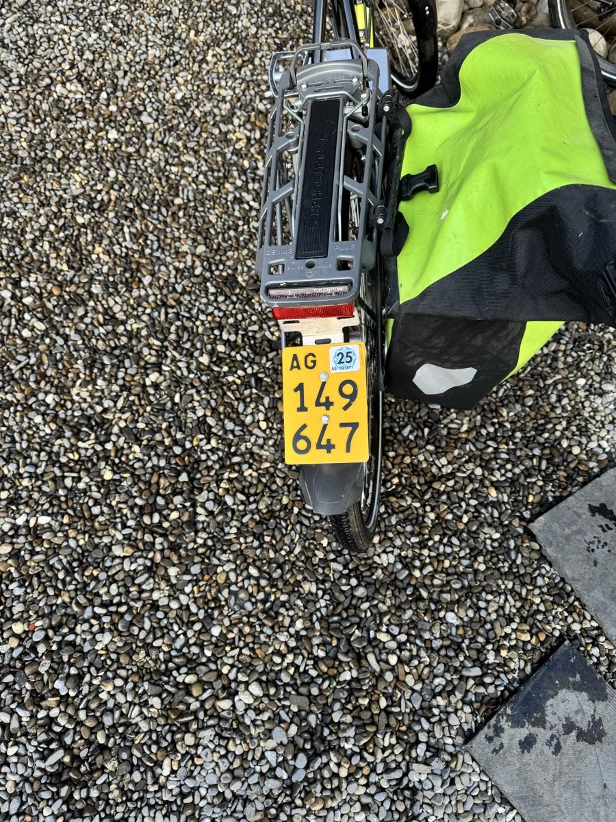 Flyer Biciclette: Gepflegtes Flyer E-Bike zu verkaufen oder Tausch! – Usato da Beinwil am See venduto da Netfrog5843 3