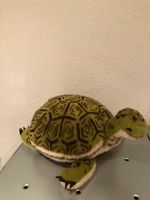 Schildkröte, Cosy Slo Steiff / Plüschtier / Turtle