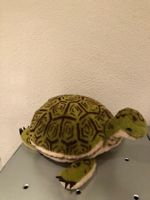 Schildkröte, Cosy Slo Steiff Stofftier / Plüschtier / Turtle