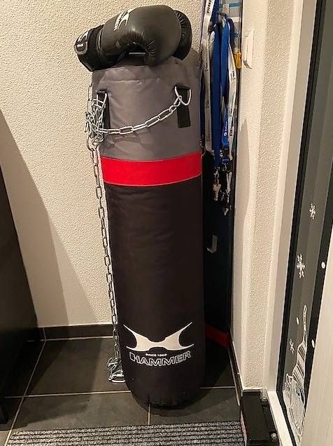 Hometrainer: HAMMER Cobra Box Set plus robuste Zusatzkette mit Haken – Gebraucht aus Ballwil von rodproc
