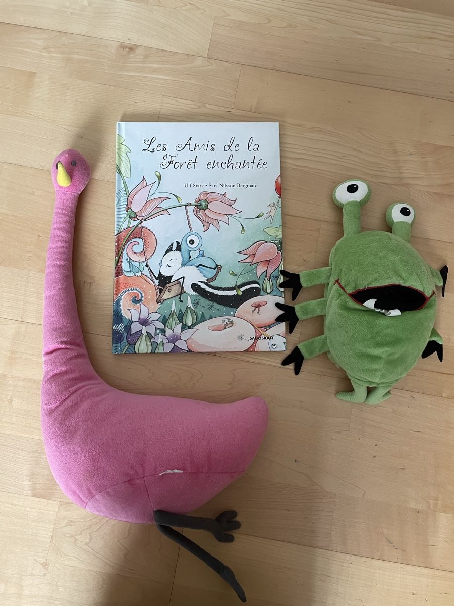 Libri: Lot Enfant : Livre "Les Amis de la Forêt enchantée"et doudou – Usato da Sierre venduto da Ruyfigas