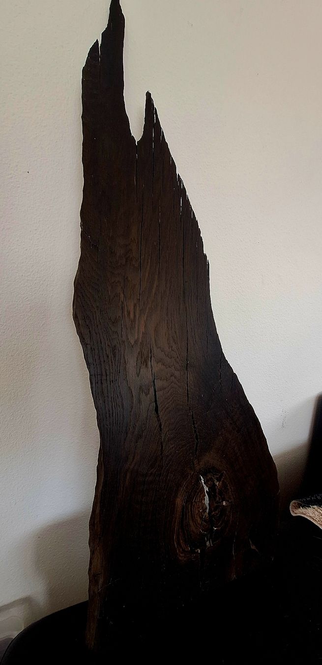 Articoli in legno: Mooreiche Seeland – Nuovo (secondo la descrizione) da Mümliswil venduto da Arva 3
