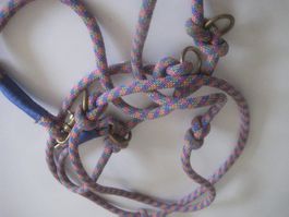 HUNDE  LEINE