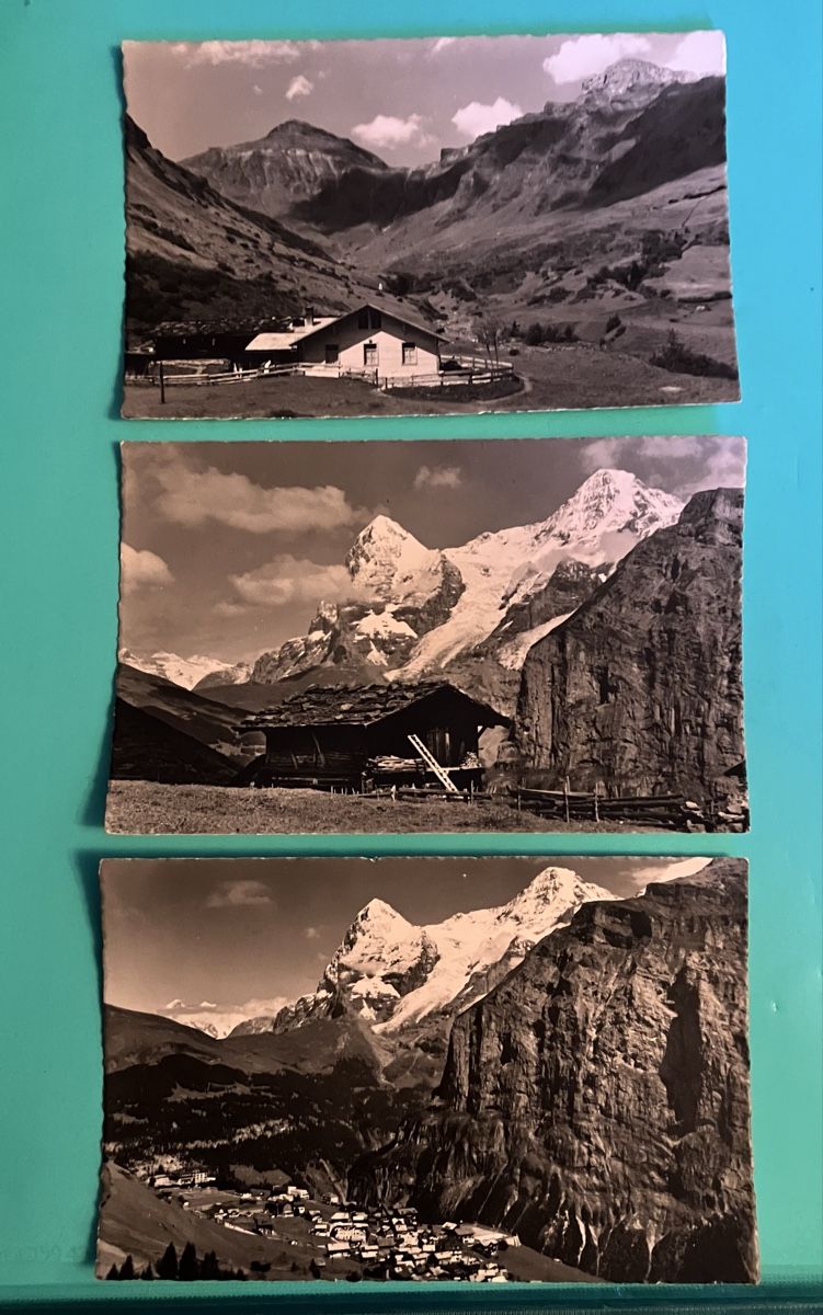 Cartoline postali: 3 Ansichtskarten Mürren, Eiger Mönch Jungfrau – Usato da Bauma venduto da Baumer71