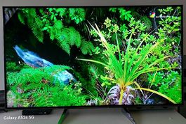 PREIS REDUZIERT! PANASONIC 65 Zoll (164 cm)