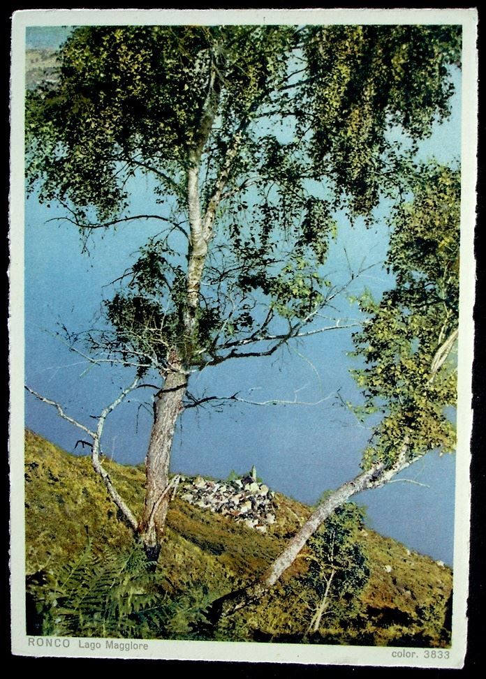 Cartoline postali: RONCO Lago Maggiore – Usato da Jona venduto da philajona
