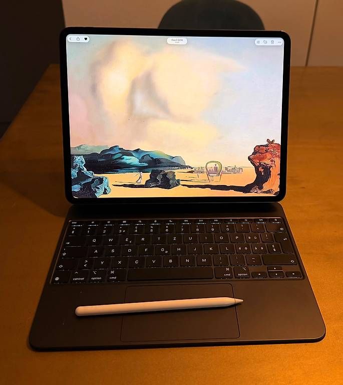 Apple Tablet PC: Apple iPad Pro 13 M4 256 Cellular+Magic Keyboard+Pencil Pro – Gebraucht aus Martigny von phi_vhc9 1