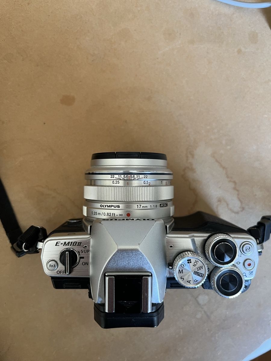 Olympus Fotocamera: Olympus OM-D E-M10 Mark II mit 17mm Objektiv – Usato da Basel venduto da fri_nz9s 6