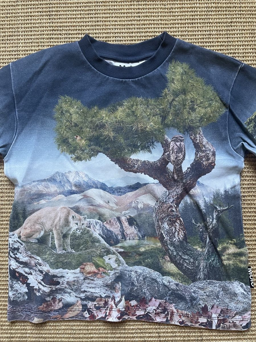 Molo Maglioni & Felpe: Molo Pullover Grösse 128 – Usato da Zürich venduto da EliseSchmitz 1
