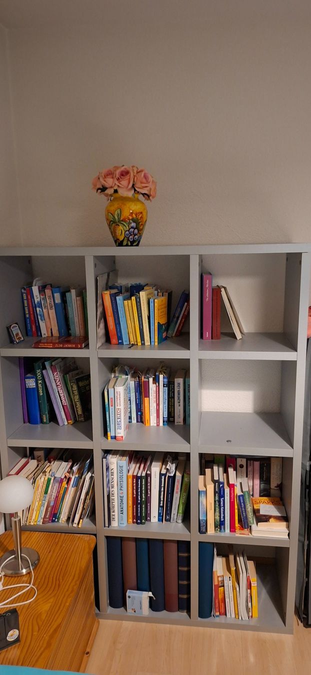 Étagères: Bücherregal massiv – Neuf (Voir description) à Männedorf par Mis_nl7l 1