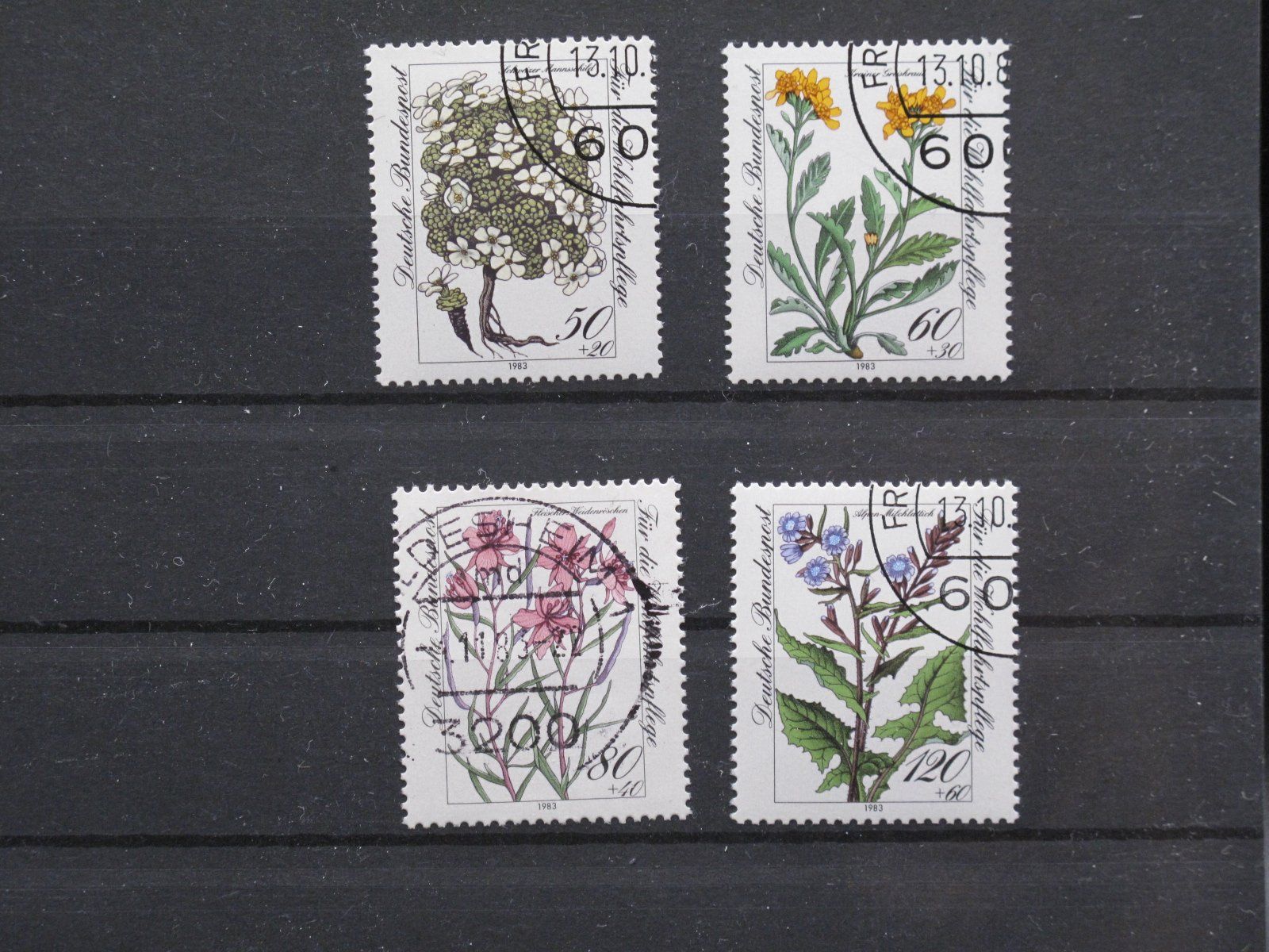 Tutti i francobolli: BRD 1983 Gefährdete Alpenblumen gest. – Usato da Wil SG venduto da fva01