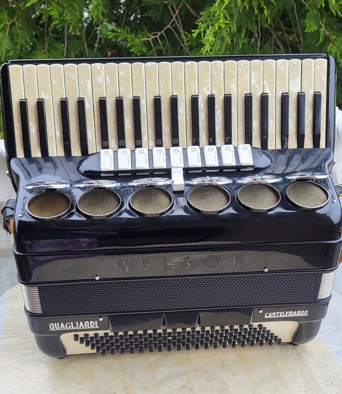 Musikinstrumente: Accordéon Welson Castelfidardo – Gebraucht aus Penthalaz von EvandroLuz 3