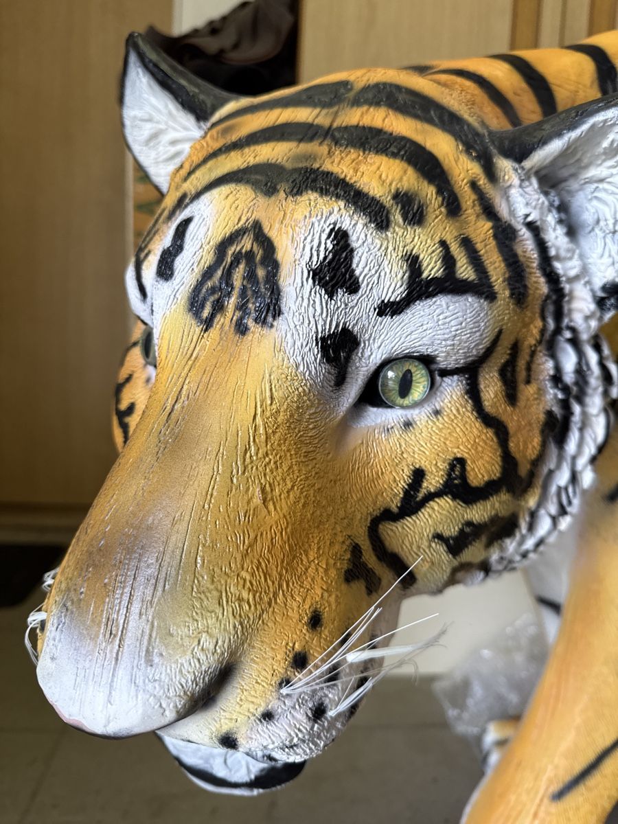 Statuette: Tiger Skulptur, Kunstharz, lebensgross – Usato da Kestenholz venduto da Swiss3DWerkstatt 2