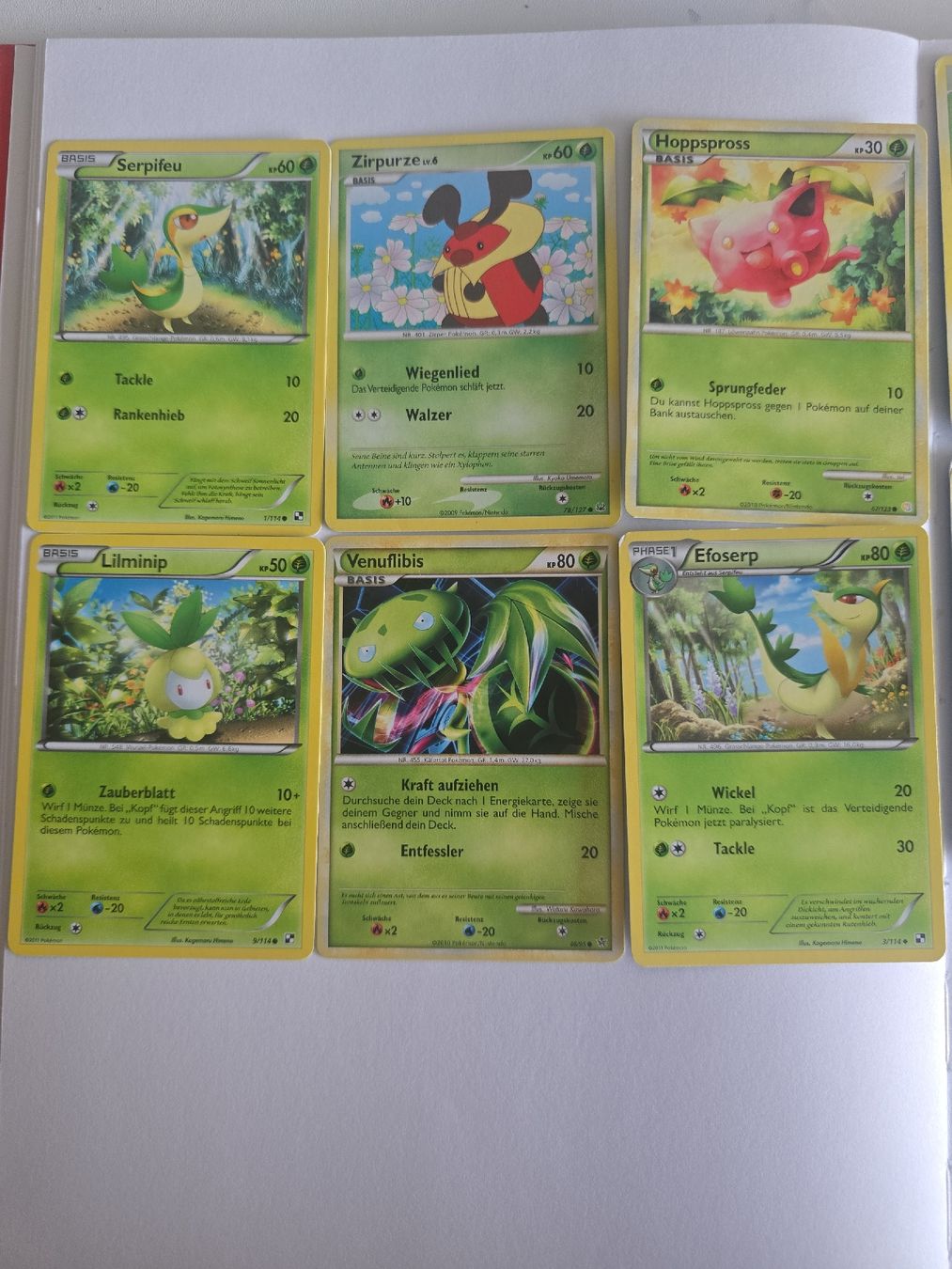 Pokémon Carte collezionabili: Pokémon Pflanzen Bundle, 14Stk. vers. Sets, DE, ältere Sets – Usato da Pfäffikon SZ venduto da gmw_8nk9 1