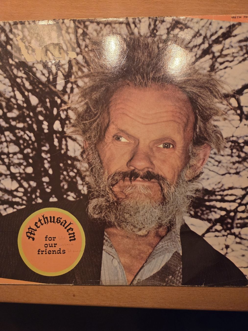 Dischi in vinile: METHUSALEM for our friends 1979 – Usato da Strengelbach venduto da Kilibilli