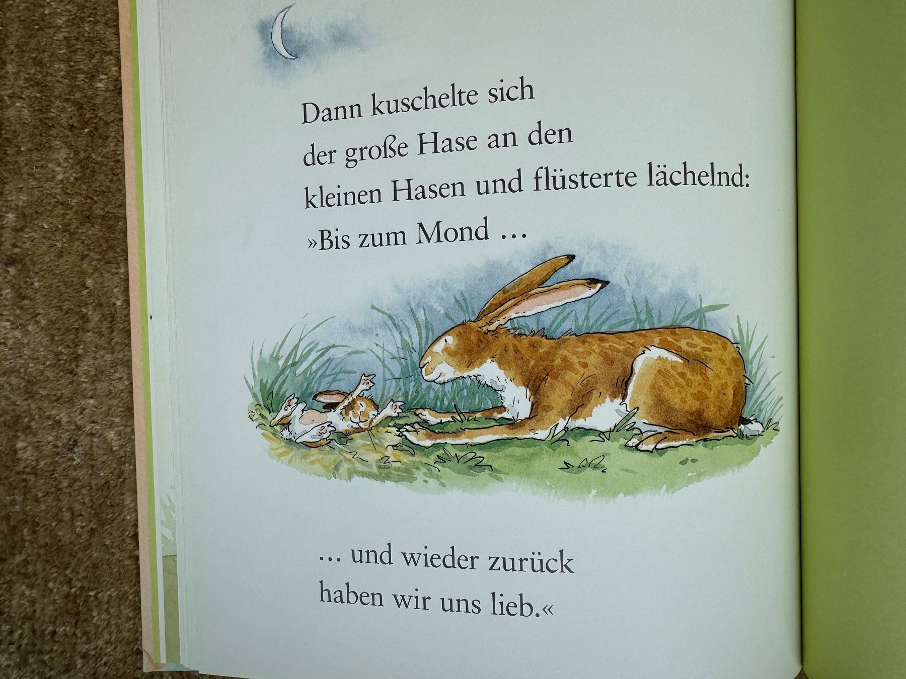 Libri: Weisst du eigentlich, wie lieb ich dich hab?? – Usato da Aarau venduto da Kilauea 8