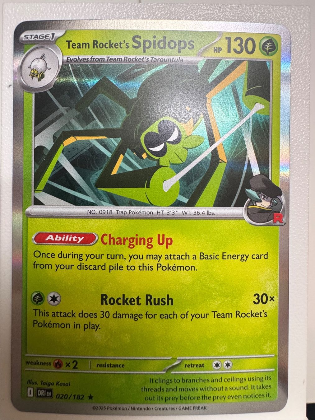 Pokémon Carte collezionabili: Team Rocket's Spidops | Poké Ball Reverse Holo – Nuovo (secondo la descrizione) da Bassersdorf venduto da ero_9zp9