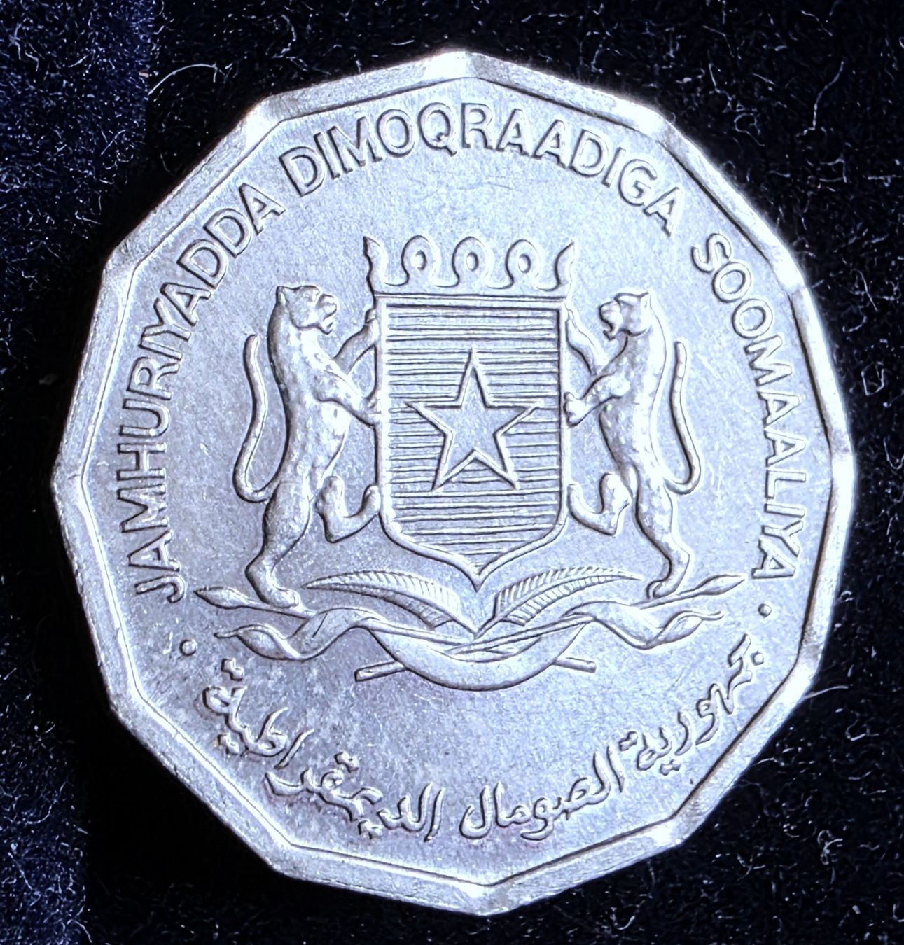Alle Münzen: SOMALIA 5 SENTI 1976 – Neu (gemäss Beschreibung) aus winterthur von CoinPassion 1