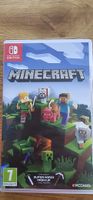 Minecraft Nintendo Switch