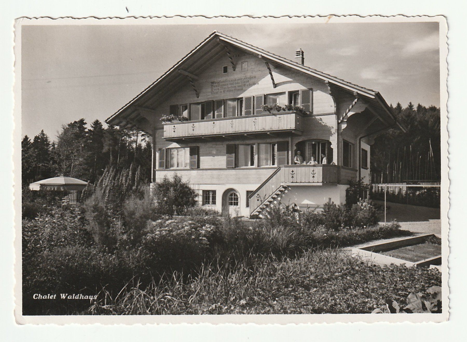 Cartoline postali: Chalet Waldhaus, Schweiz – Nuovo (secondo la descrizione) da St. Gallen venduto da Ricardo_Deals
