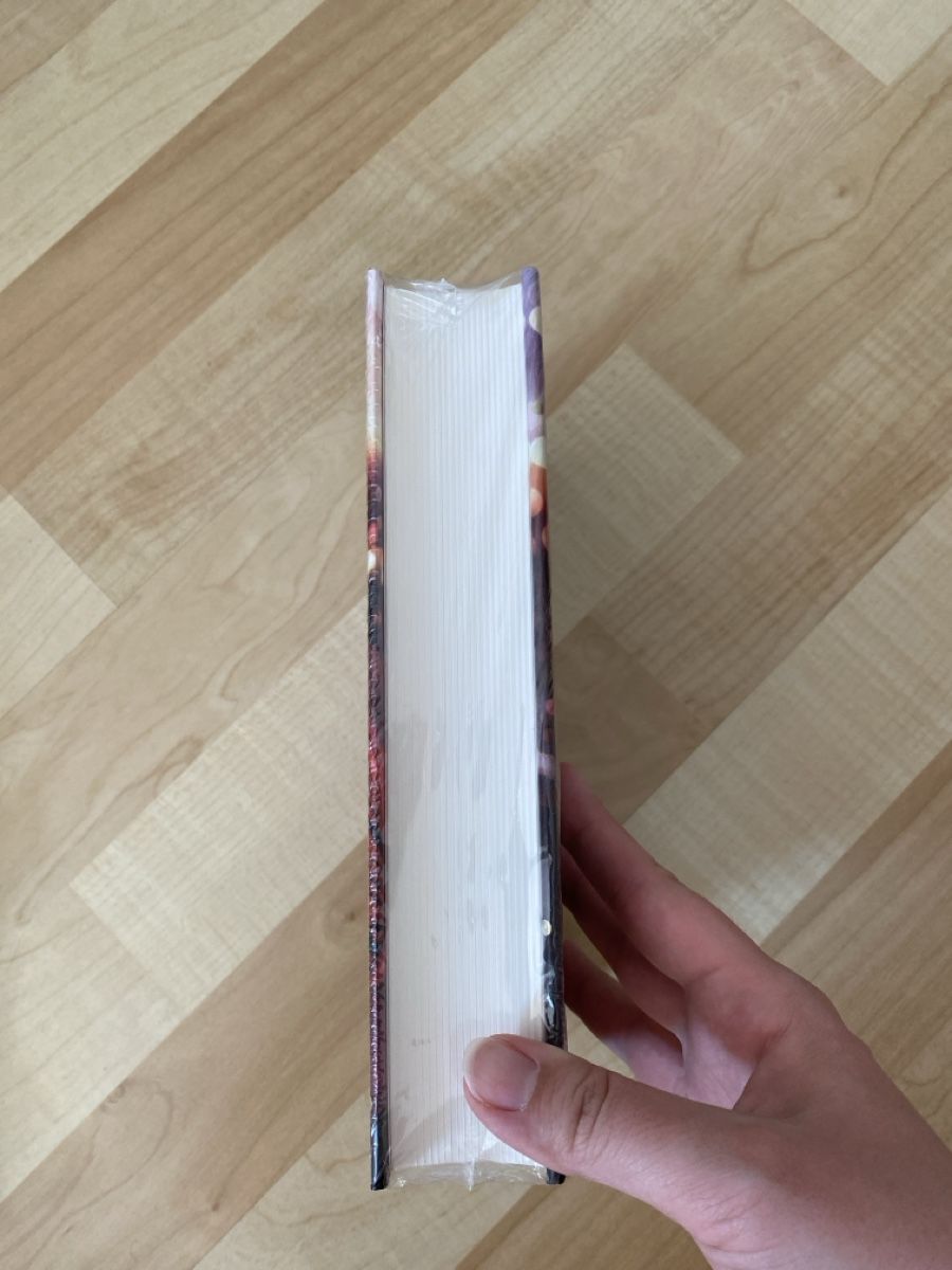 Bücher: Sommernachtsfunkeln - Beatrix￼ Gurian – Neu und originalverpackt aus Hünenberg von a.u.849 2