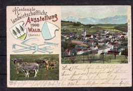 Wald Kant. landw. Ausstellung ZH, 1900, ʘ Gibschweil+Glarus