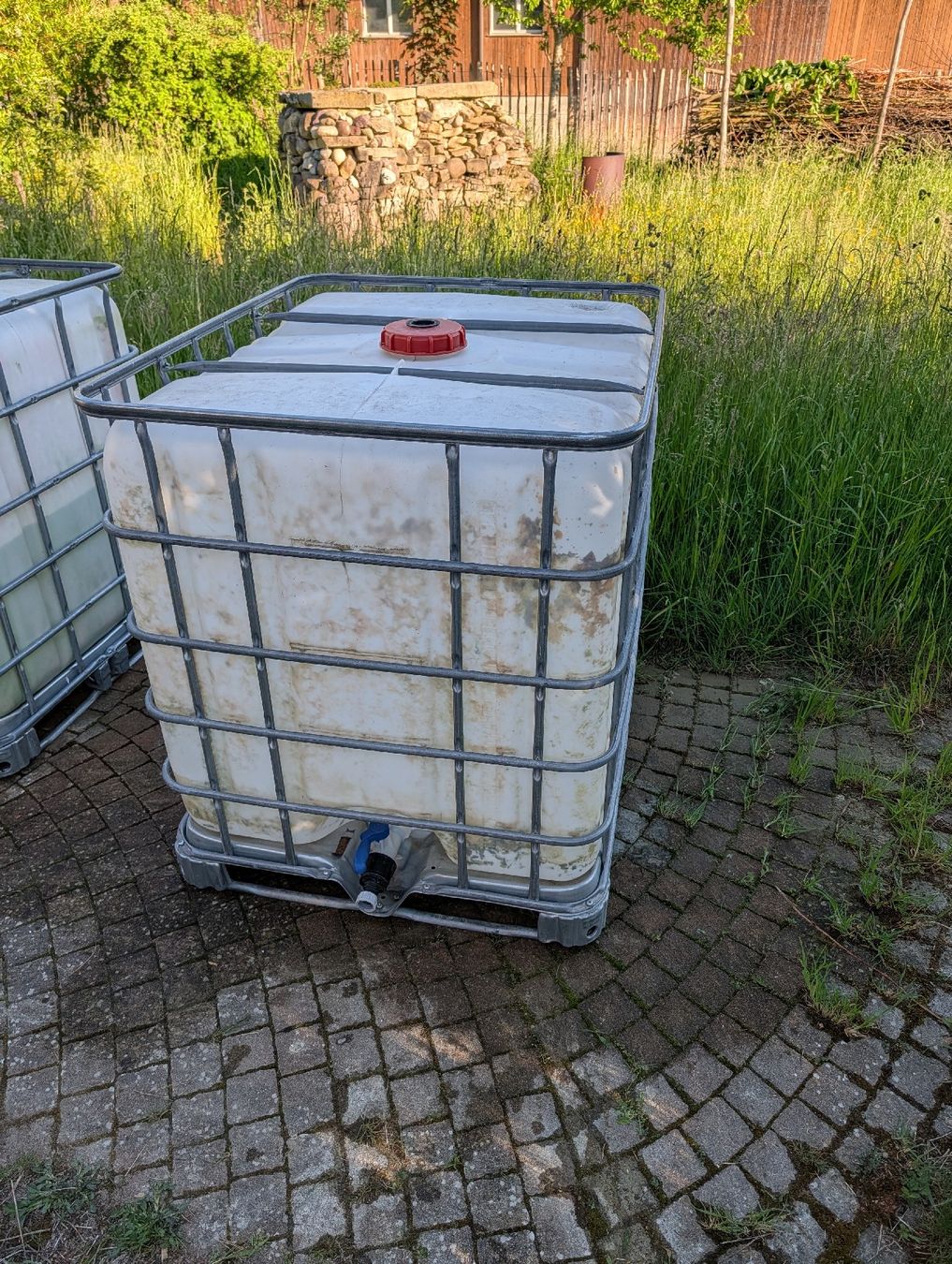 Abbeveratoi e trogoli: IBC Container 1000L Wassertank Gartenbewässerung – Usato da Sonterswil venduto da wabengasse