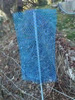 Filets de protection pour plantons