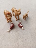 Playmobil Löwen Familie mit Futter