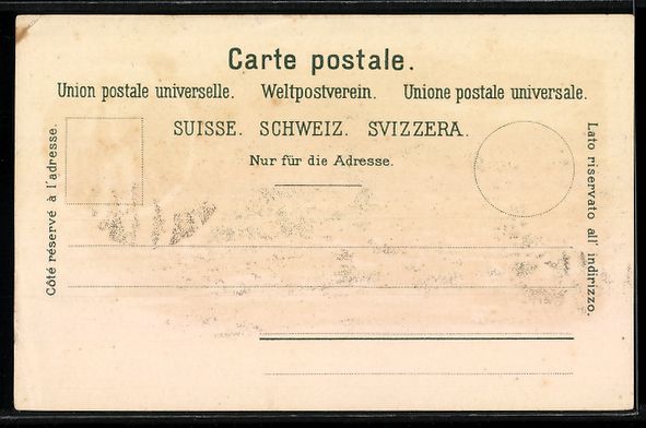 Cartes postales: Litho Appenzell, Ortsansicht mit Bergpan – D'occasion à Berlin par bartko-reher 1