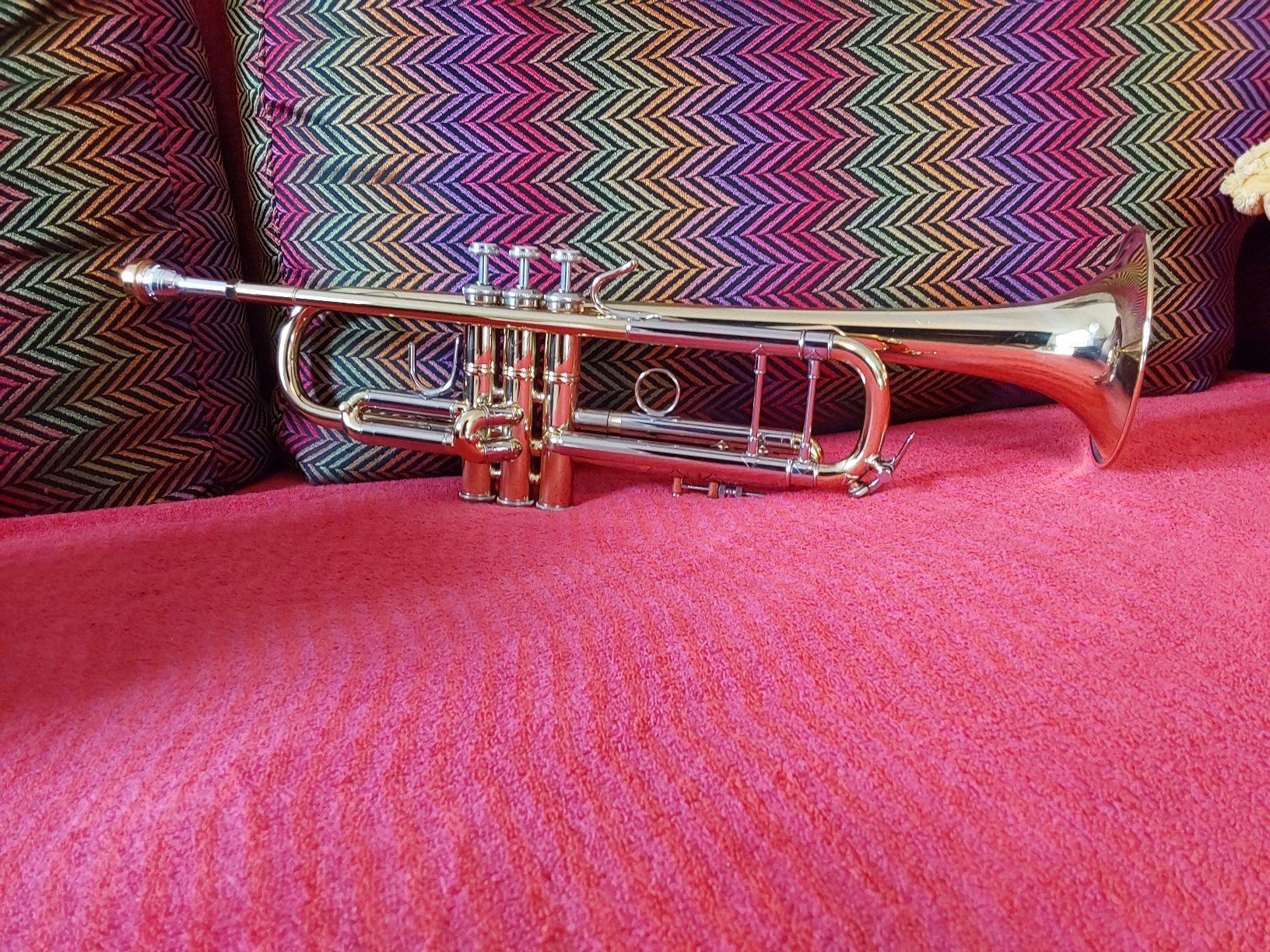 Strumenti musicali: Trompete Bach Stradivarius – Nuovo (secondo la descrizione) da Reinach AG venduto da son_6trr 3