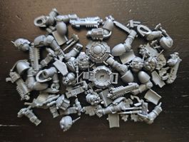 Warhammer 40K - Bits - Incursors pile of bits
