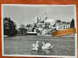 Alte Ansichtskarte Thun mit Schwänen, seltenes Sammlerstück!