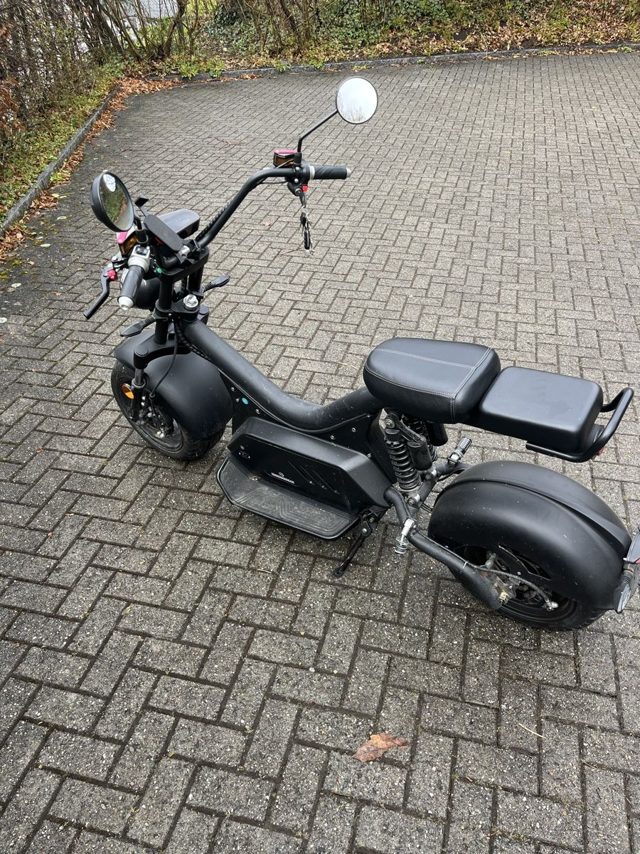 Züriflizzer Scooter: E-Roller – Usato da Adliswil venduto da tei_99kz 4