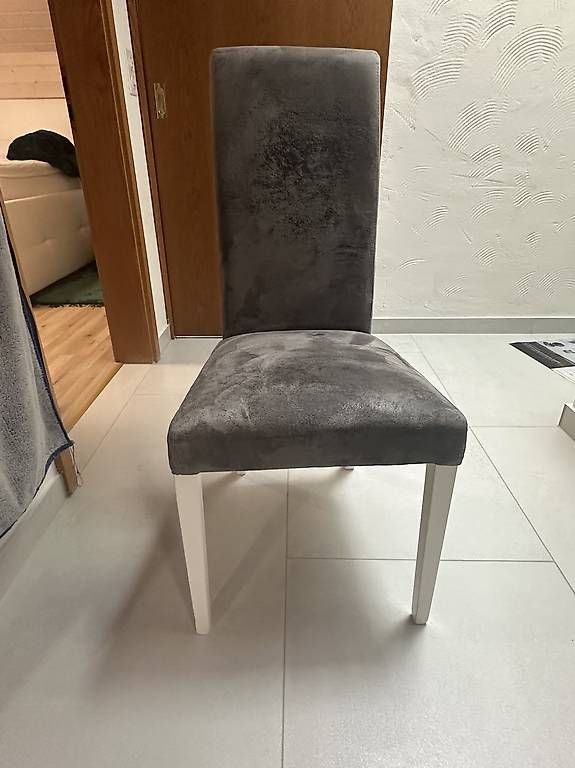 Sedie: Stühle Esszimmer – Usato da Luterbach venduto da jes_7gzv 2