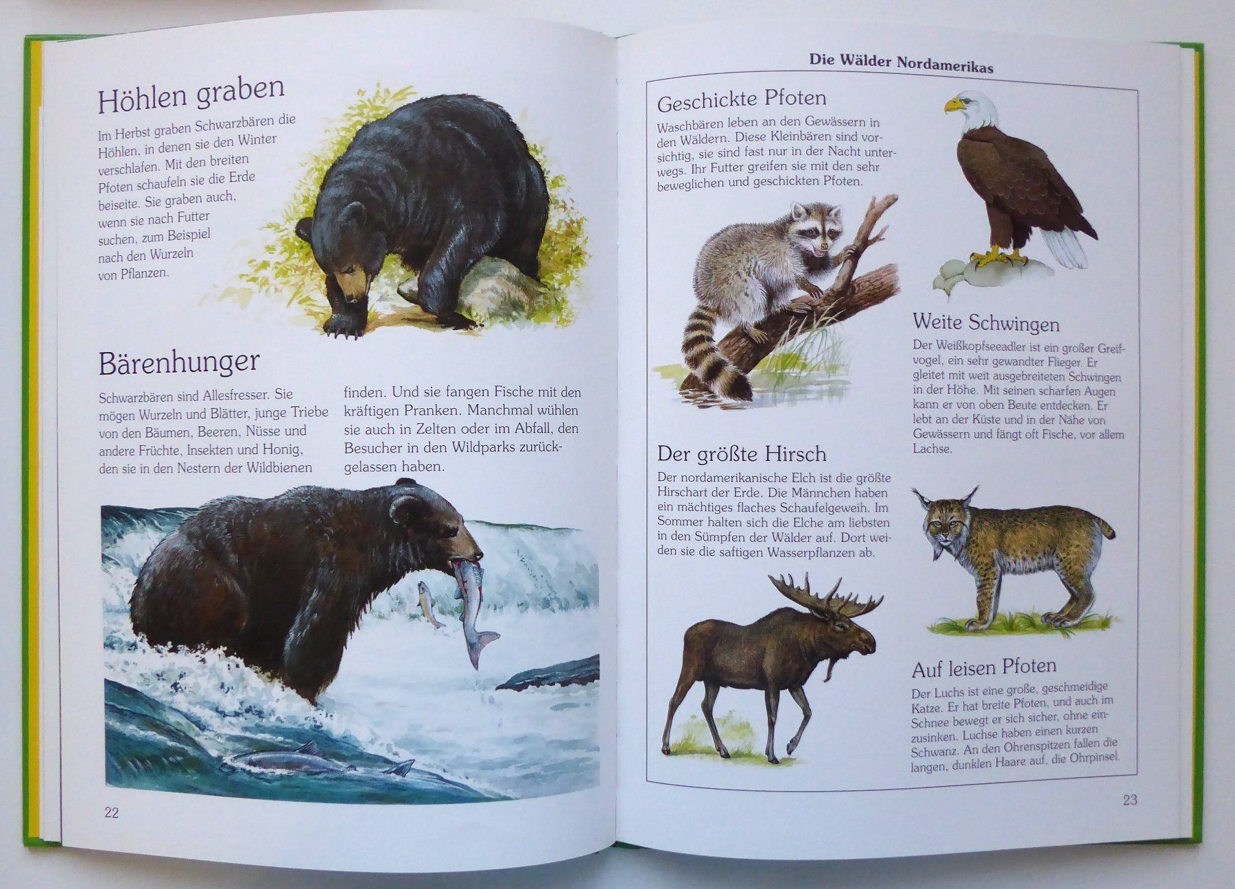 Libri: Wo Tiere leben - Sachbuch – Usato da Wettingen venduto da tonia3 2