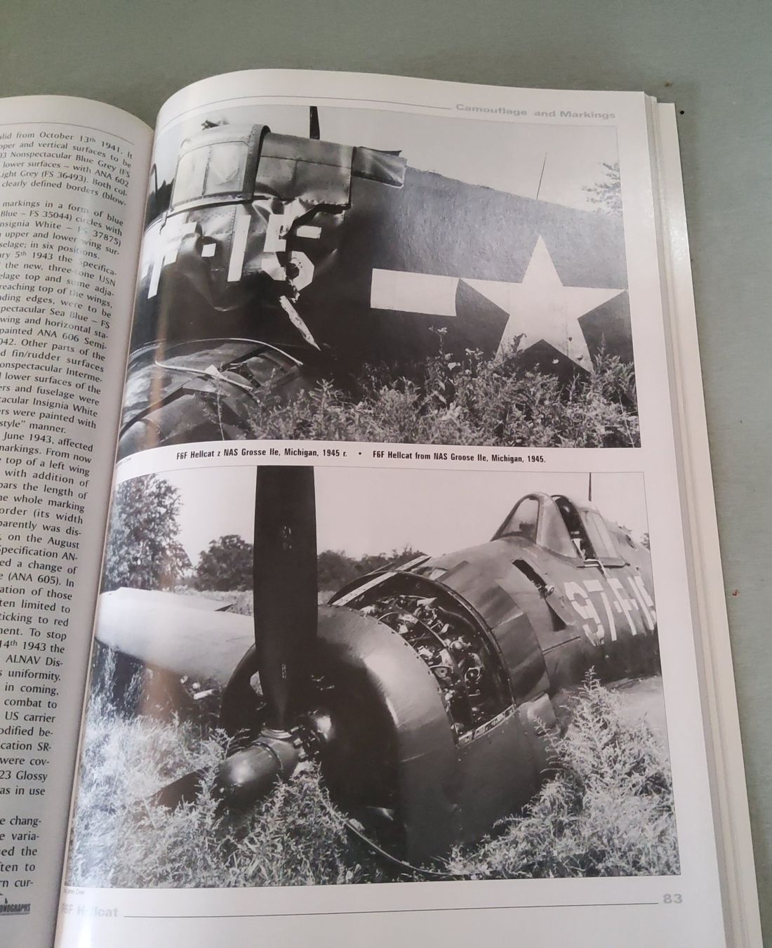 Riviste & Magazine: Magazin/Buch HELLCAT Grumman F6F englisch – Usato da Grüningen venduto da VENOM59 9