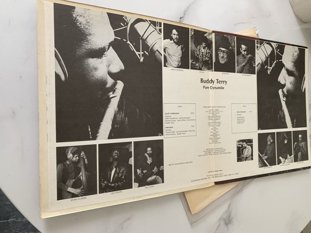 Dischi in vinile: Buddy Terry/Pure Dynamite(Stanley Clarke) – Usato da lausanne venduto da Ccheche 1