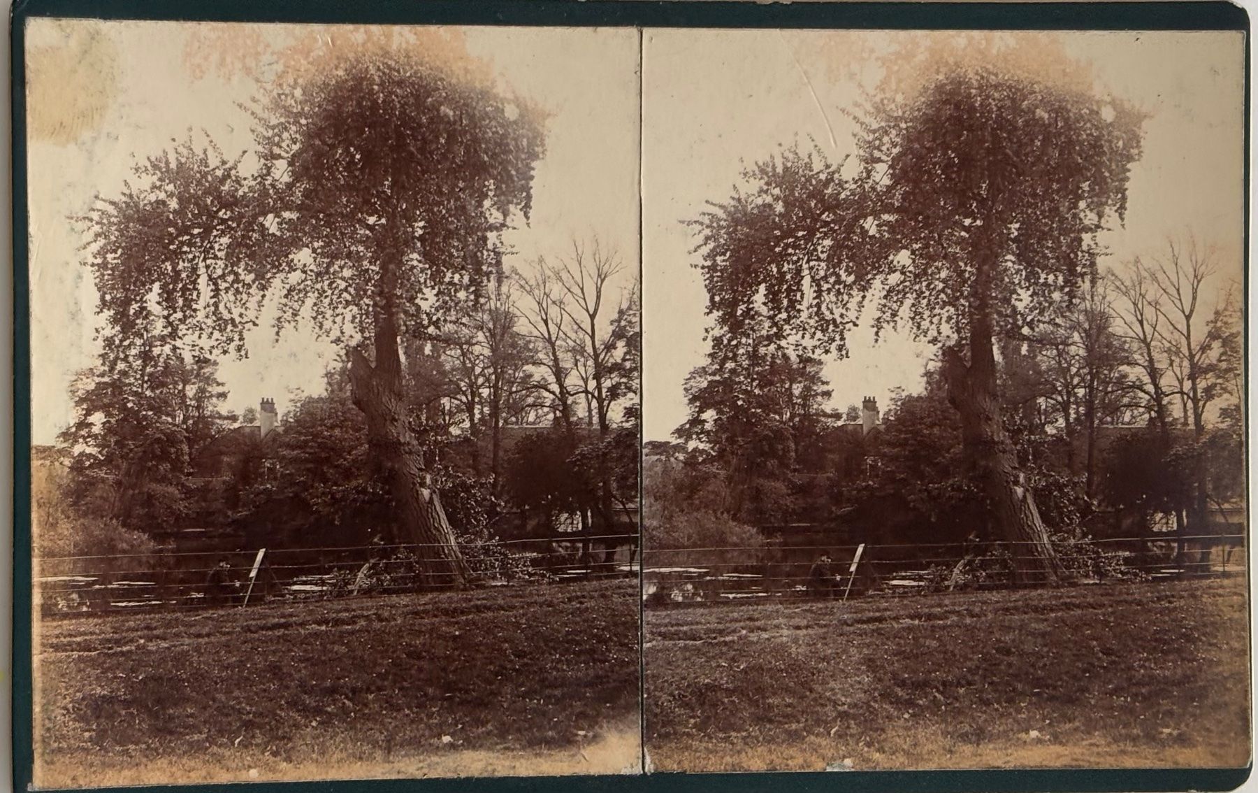 Cartes postales: Uralte private Stereofoto, um 1900 – D'occasion à Frauenfeld par Merk52