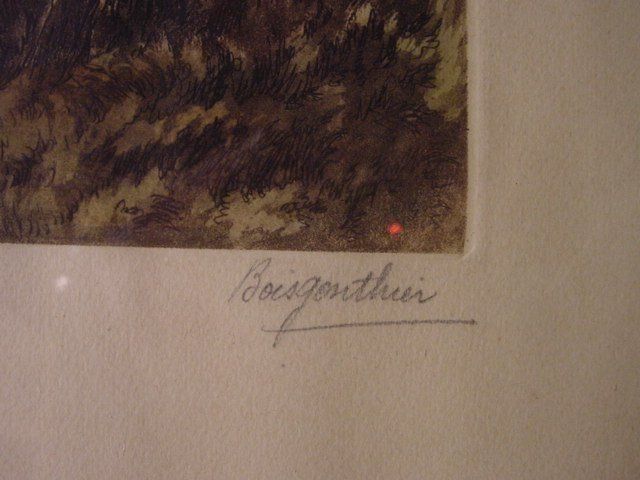 Grafica & Litografie: Lithographie von Boisgouthier – Usato da Grindelwald venduto da carro5 2