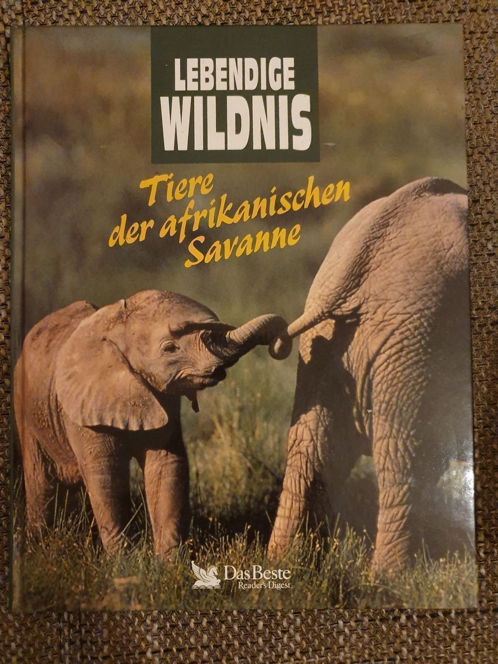 Libri: Tiere der afrikanischen Savanne – Usato da Langnau am Albis venduto da jer_pm72