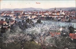 Aarau // Frühling Blust 1907
