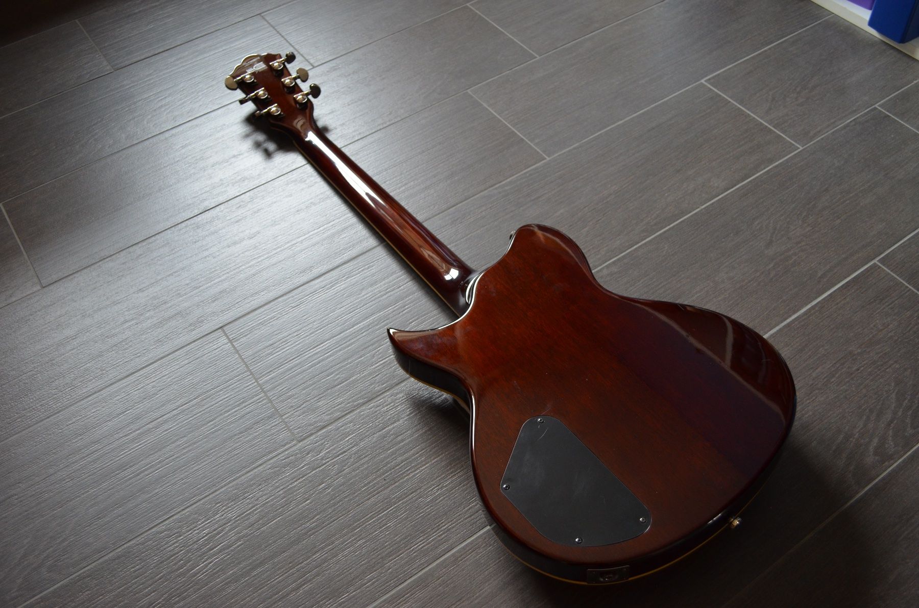 Washburn Strumenti musicali: E-Gitarre Washburn WI 67 Pro – Usato da Siebnen venduto da Plumbs 2