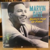 MARVIN GAYE – STUBBORN KIND OF FELLOW..COMPIL FR 2017 SEALED