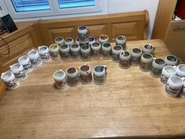 Bierhumpen ( Hofchilbi Wil ) Sammlung 2000-2017