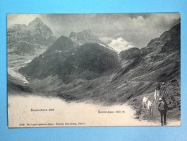 Sustenpass - belebt
