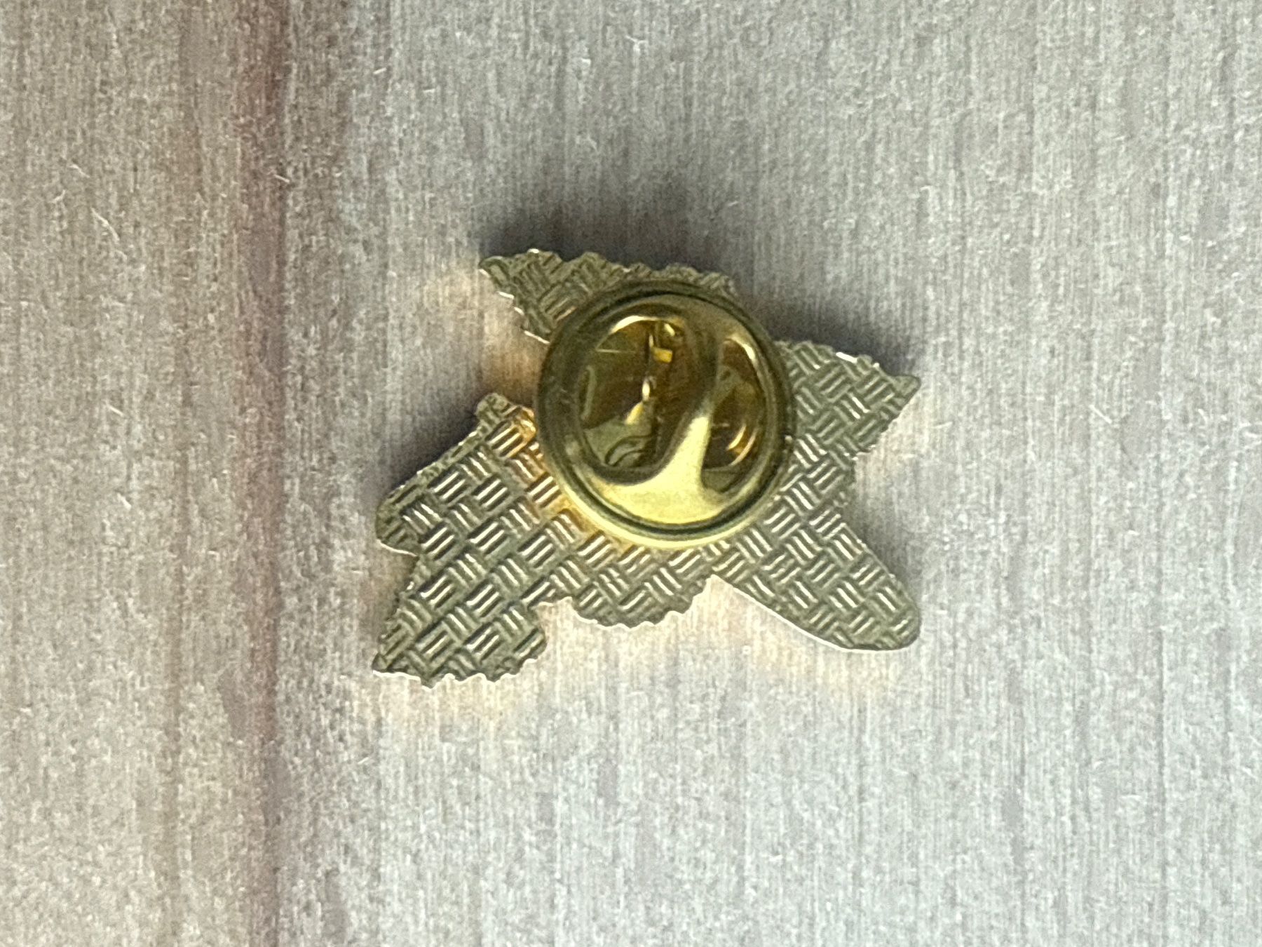 Placchette & Badge: Pin – Usato da Glattbrugg venduto da Schweigmatt 1
