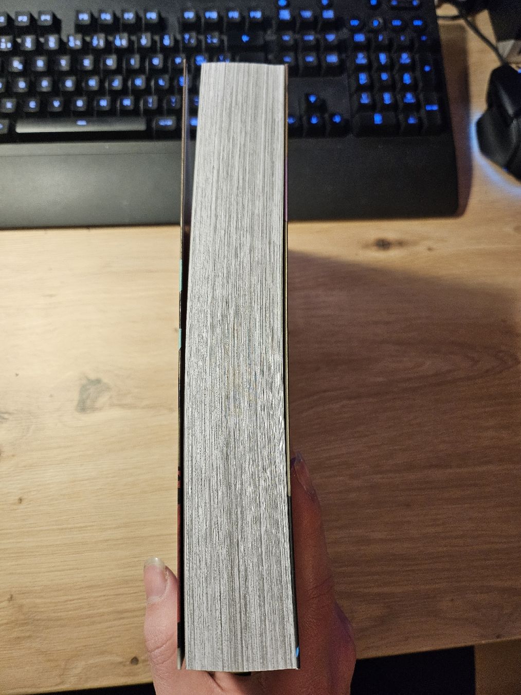 Libri: Demon slayer tome 1 – Usato da Poliez-le-Grand venduto da enz_8vrj 1